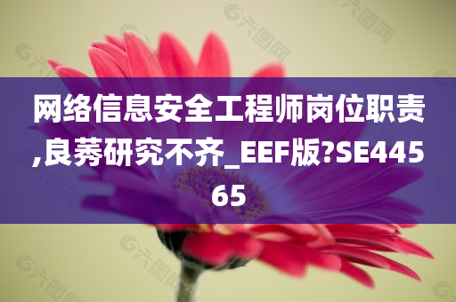 网络信息安全工程师岗位职责,良莠研究不齐_EEF版?SE44565