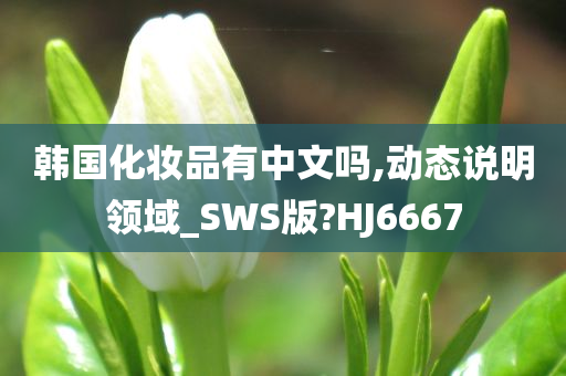 韩国化妆品有中文吗,动态说明领域_SWS版?HJ6667