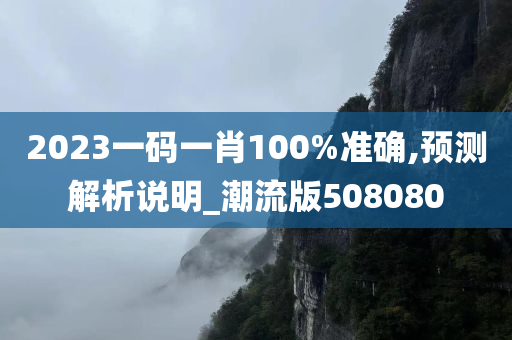 2023一码一肖100%准确,预测解析说明_潮流版508080