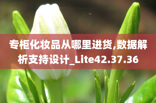 专柜化妆品从哪里进货,数据解析支持设计_Lite42.37.36