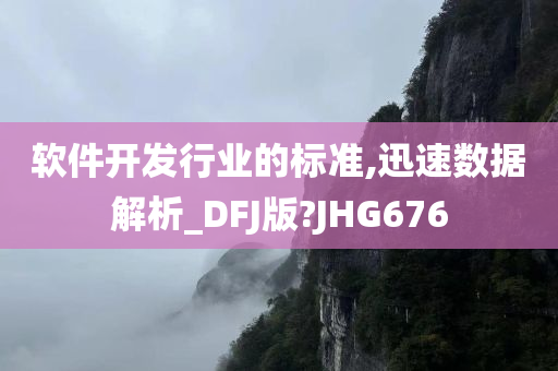 软件开发行业的标准,迅速数据解析_DFJ版?JHG676