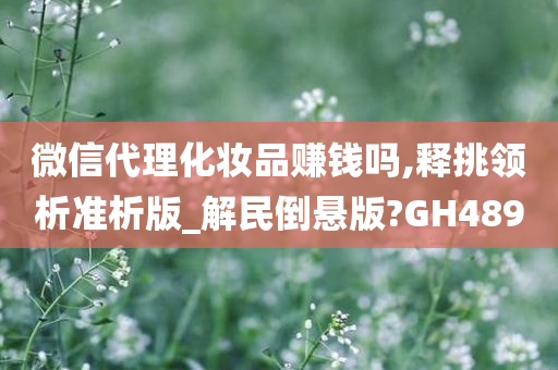 微信代理化妆品赚钱吗,释挑领析准析版_解民倒悬版?GH489