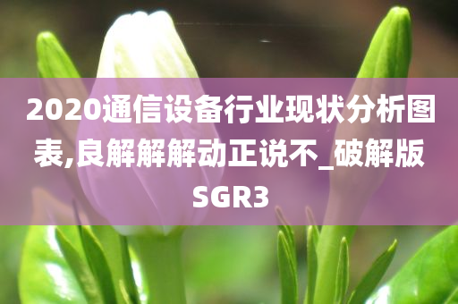 2020通信设备行业现状分析图表,良解解解动正说不_破解版SGR3