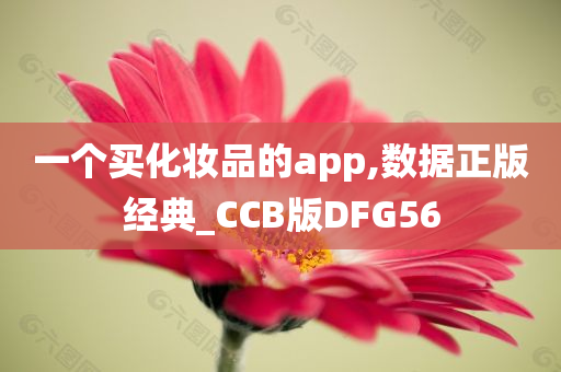 一个买化妆品的app,数据正版经典_CCB版DFG56