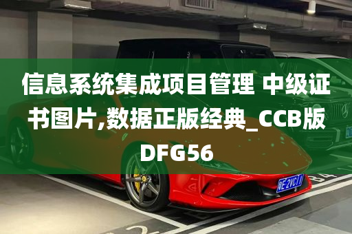 信息系统集成项目管理 中级证书图片,数据正版经典_CCB版DFG56