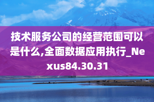 技术服务公司的经营范围可以是什么,全面数据应用执行_Nexus84.30.31