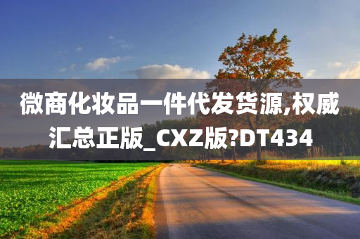 微商化妆品一件代发货源,权威汇总正版_CXZ版?DT434