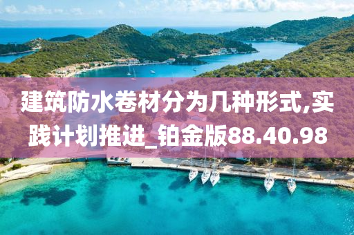 建筑防水卷材分为几种形式,实践计划推进_铂金版88.40.98