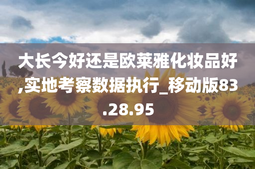 大长今好还是欧莱雅化妆品好,实地考察数据执行_移动版83.28.95