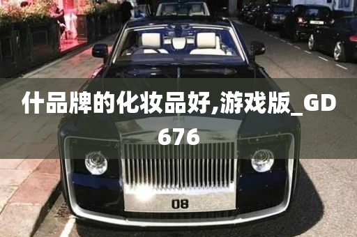 什品牌的化妆品好,游戏版_GD676