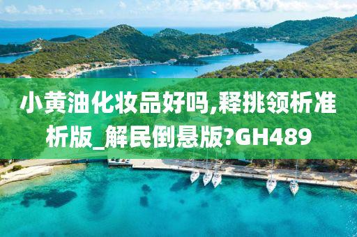 小黄油化妆品好吗,释挑领析准析版_解民倒悬版?GH489