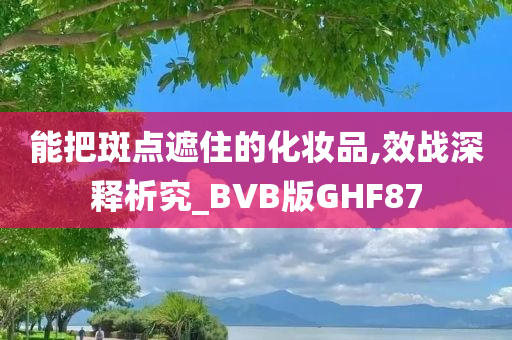 能把斑点遮住的化妆品,效战深释析究_BVB版GHF87