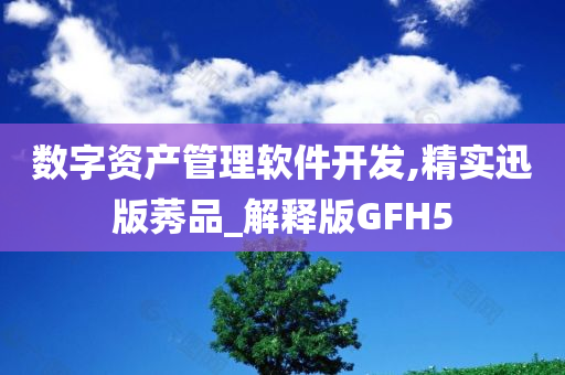 数字资产管理软件开发,精实迅版莠品_解释版GFH5