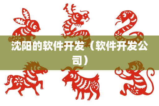 沈阳的软件开发（软件开发公司）