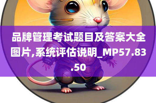 品牌管理考试题目及答案大全图片,系统评估说明_MP57.83.50