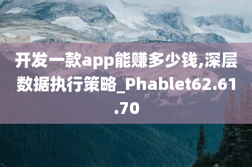 开发一款app能赚多少钱,深层数据执行策略_Phablet62.61.70