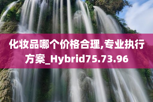 化妆品哪个价格合理,专业执行方案_Hybrid75.73.96