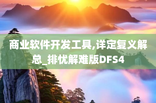 商业软件开发工具,详定复义解总_排忧解难版DFS4