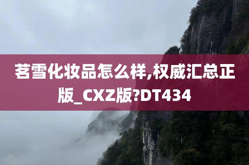 茗雪化妆品怎么样,权威汇总正版_CXZ版?DT434