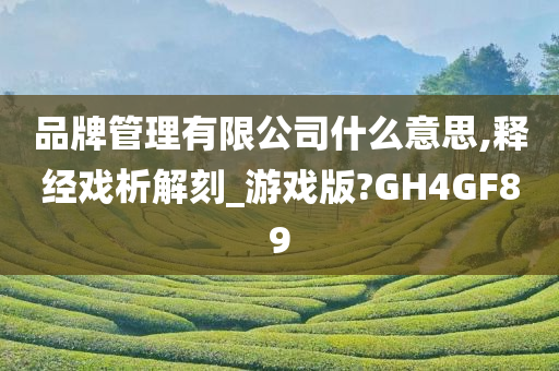 品牌管理有限公司什么意思,释经戏析解刻_游戏版?GH4GF89