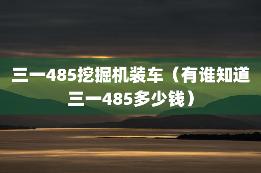 三一485挖掘机装车（有谁知道三一485多少钱）