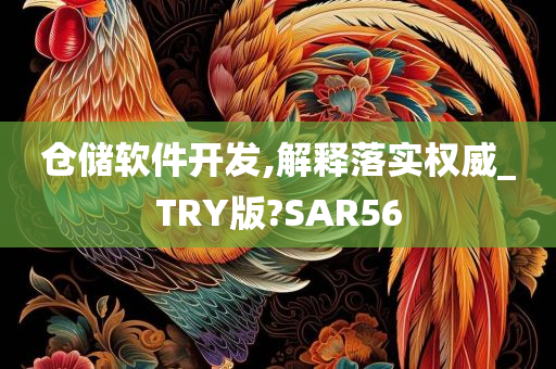 仓储软件开发,解释落实权威_TRY版?SAR56