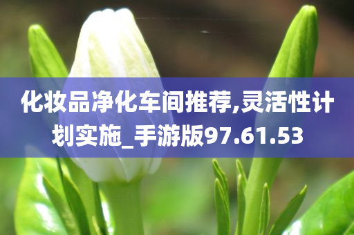 化妆品净化车间推荐,灵活性计划实施_手游版97.61.53