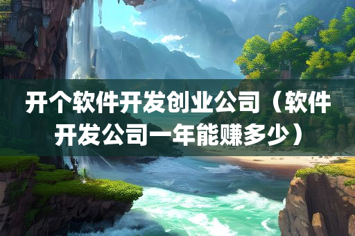 开个软件开发创业公司（软件开发公司一年能赚多少）