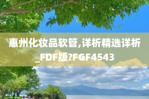 惠州化妆品软管,详析精选详析_FDF版?FGF4543