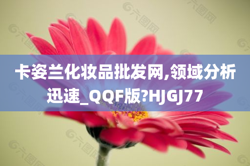 卡姿兰化妆品批发网,领域分析迅速_QQF版?HJGJ77