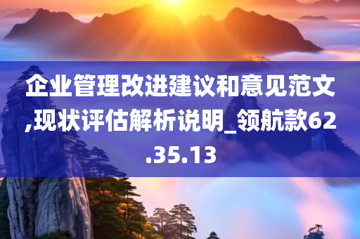 企业管理改进建议和意见范文,现状评估解析说明_领航款62.35.13