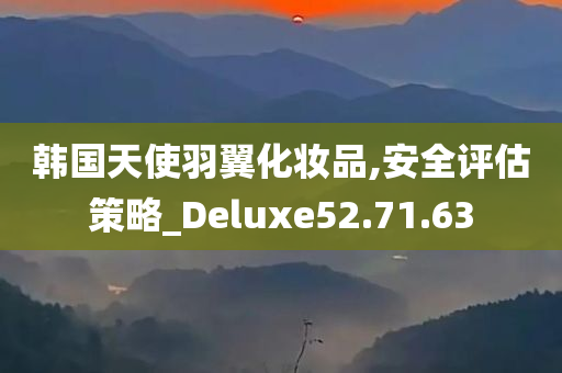 韩国天使羽翼化妆品,安全评估策略_Deluxe52.71.63