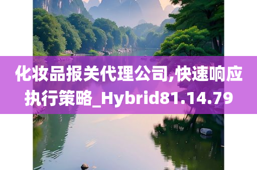 化妆品报关代理公司,快速响应执行策略_Hybrid81.14.79