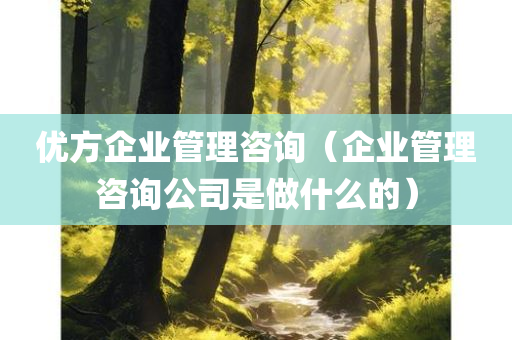 优方企业管理咨询（企业管理咨询公司是做什么的）