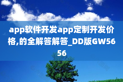 app软件开发app定制开发价格,的全解答解答_DD版GW5656