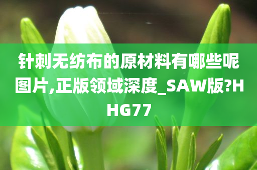 针刺无纺布的原材料有哪些呢图片,正版领域深度_SAW版?HHG77