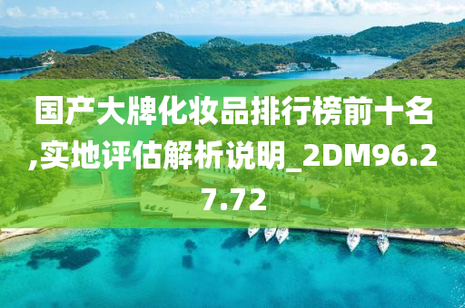 国产大牌化妆品排行榜前十名,实地评估解析说明_2DM96.27.72