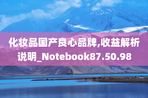 化妆品国产良心品牌,收益解析说明_Notebook87.50.98