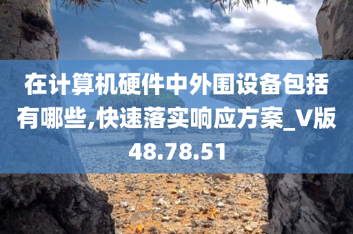 在计算机硬件中外围设备包括有哪些,快速落实响应方案_V版48.78.51