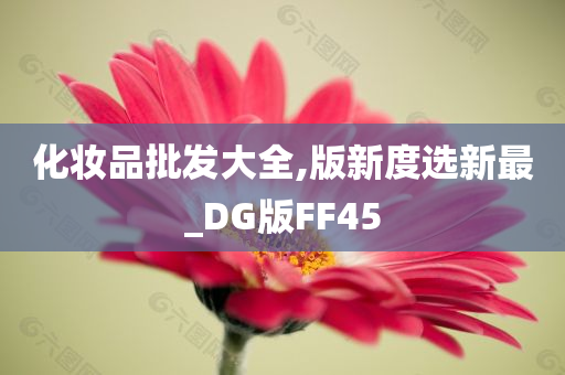 化妆品批发大全,版新度选新最_DG版FF45