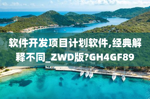 软件开发项目计划软件,经典解释不同_ZWD版?GH4GF89