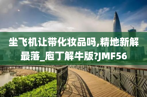 坐飞机让带化妆品吗,精地新解最落_庖丁解牛版?JMF56