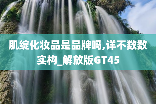 肌绽化妆品是品牌吗,详不数数实构_解放版GT45