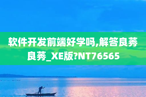 软件开发前端好学吗,解答良莠良莠_XE版?NT76565