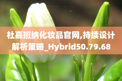 杜嘉班纳化妆品官网,持续设计解析策略_Hybrid50.79.68