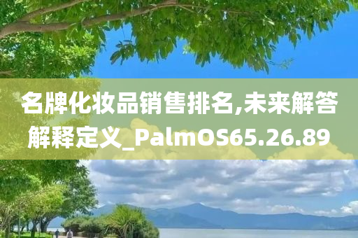 名牌化妆品销售排名,未来解答解释定义_PalmOS65.26.89