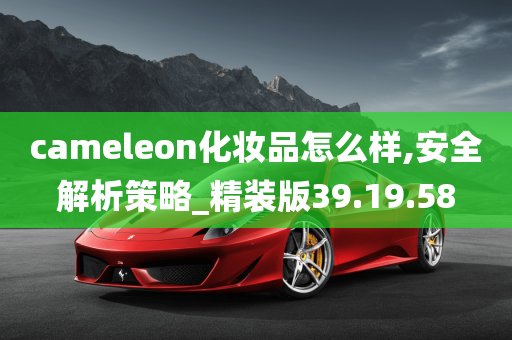 cameleon化妆品怎么样,安全解析策略_精装版39.19.58