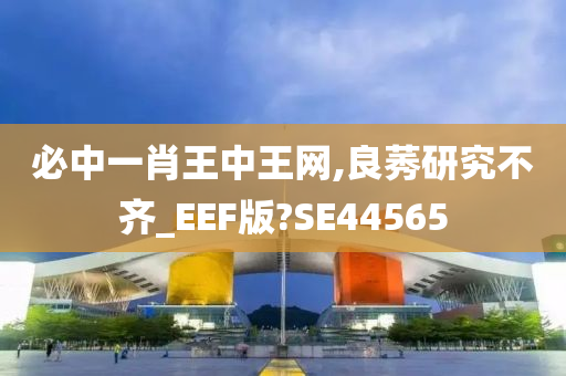 必中一肖王中王网,良莠研究不齐_EEF版?SE44565