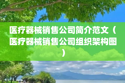 医疗器械销售公司简介范文（医疗器械销售公司组织架构图）