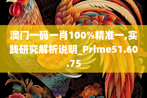 澳门一码一肖100%精准一,实践研究解析说明_Prime51.60.75